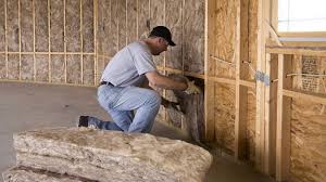 Types of Insulation We Offer in Kahului, HI